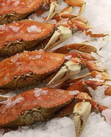 Dungeness crabs