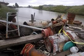 Trash collected from Petaluma River