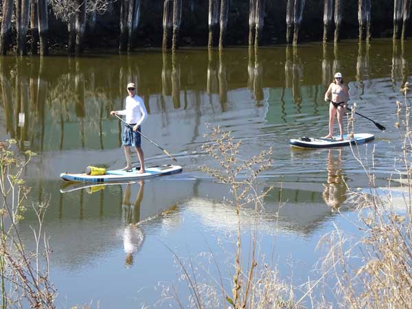 A couple of people on paddle boards

Description automatically generated