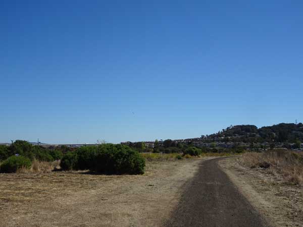 Long shot of a dirt road

Description automatically generated