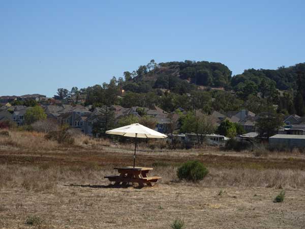 A picnic table with an umbrella in a field

Description automatically generated