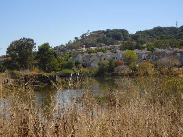 A view of a lake with houses and trees

Description automatically generated