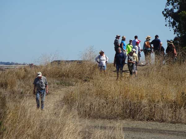 A group of people walking in a field

Description automatically generated