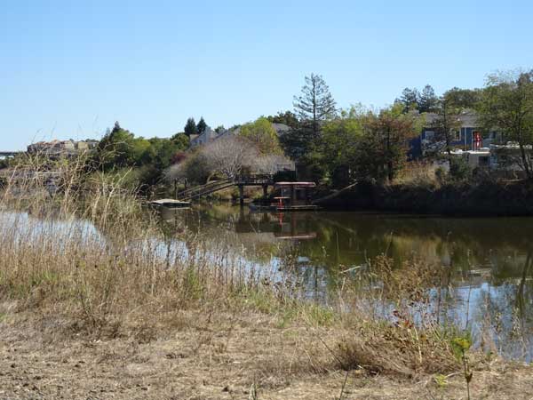 A small lake with a bridge and trees

Description automatically generated with medium confidence