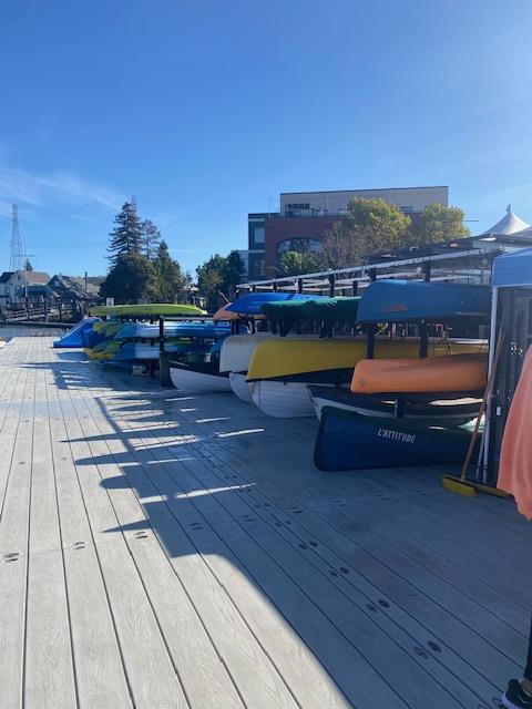 A row of boats on a dock

Description automatically generated